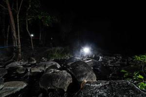 BIB: 
                            <button type="button" onclick="openModal(18617727)" class="btn btn-primary btn-sm float-right btn-popup" data-toggle="modal" data-target=".modal-high-quality">
                        <i class="fas fa-shopping-cart"></i> Add to Cart
                    </button>
                                            <button type="button" onclick="isThisMe(18617727, true)" class="btn btn-success btn-sm float-right btn-popup btn-isme hidden" data-toggle="tooltip" data-placement="bottom" title="นี่คือรูปของคุณใช่ไหม คลิกที่นี่เพื่อเอาเข้าอัลบั้ม">
                        <i class="fas fa-plus"></i> Add to album
                    </button>
                    <button type="button" onclick="isThisMe(18617727, false)" class="btn btn-warning btn-sm float-right btn-popup btn-isnotme hidden">
                        <i class="fas fa-ban"></i> Remove from album
                    </button>